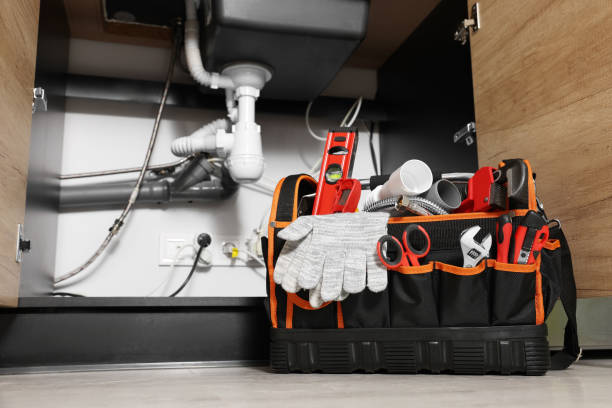 Best Local Plumber Services  in Bartlett, TX